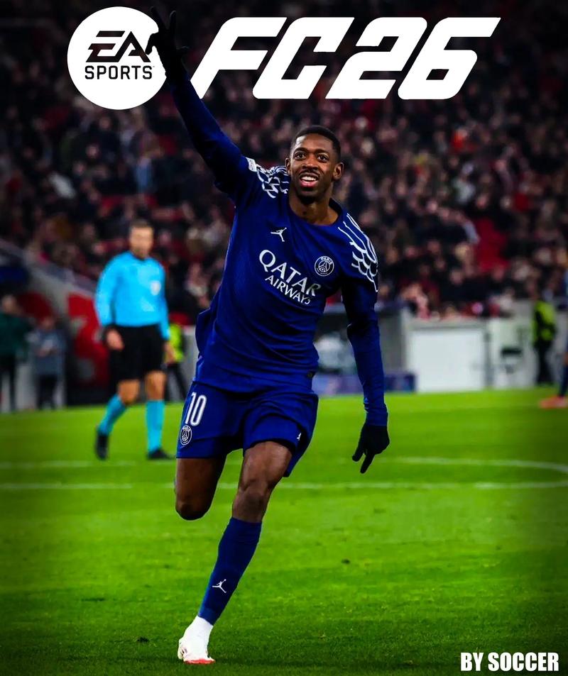 篮球CBA官方公布月度最佳教练