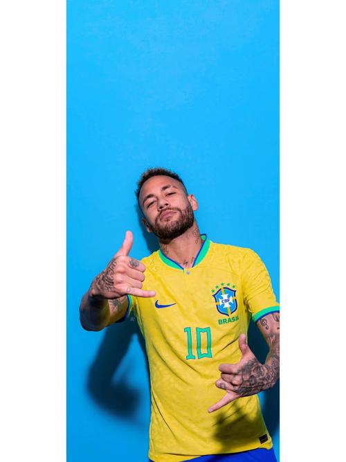 布冯：意大利唯一缺点是偶尔“短路”；无欧战踢是米兰的优势